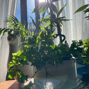 Meet your Posher, Cathleen